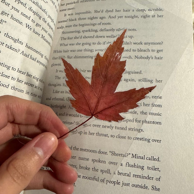 Real red leaf window bookmark 🍁