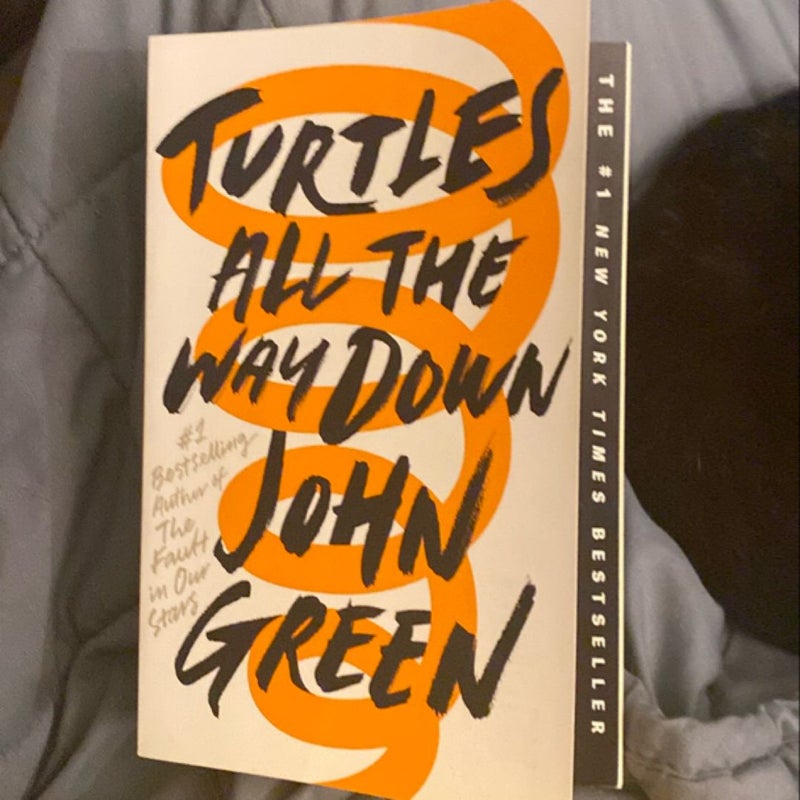 Turtles All the Way Down