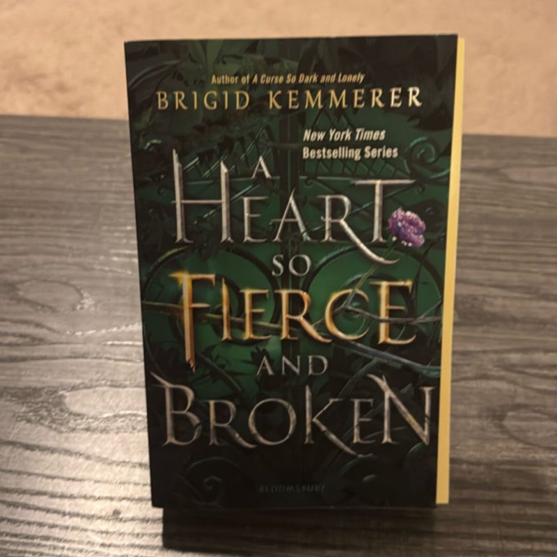 A Heart So Fierce and Broken
