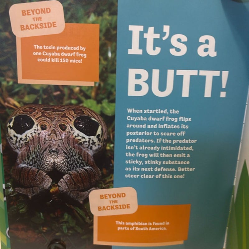 Butt or Face?