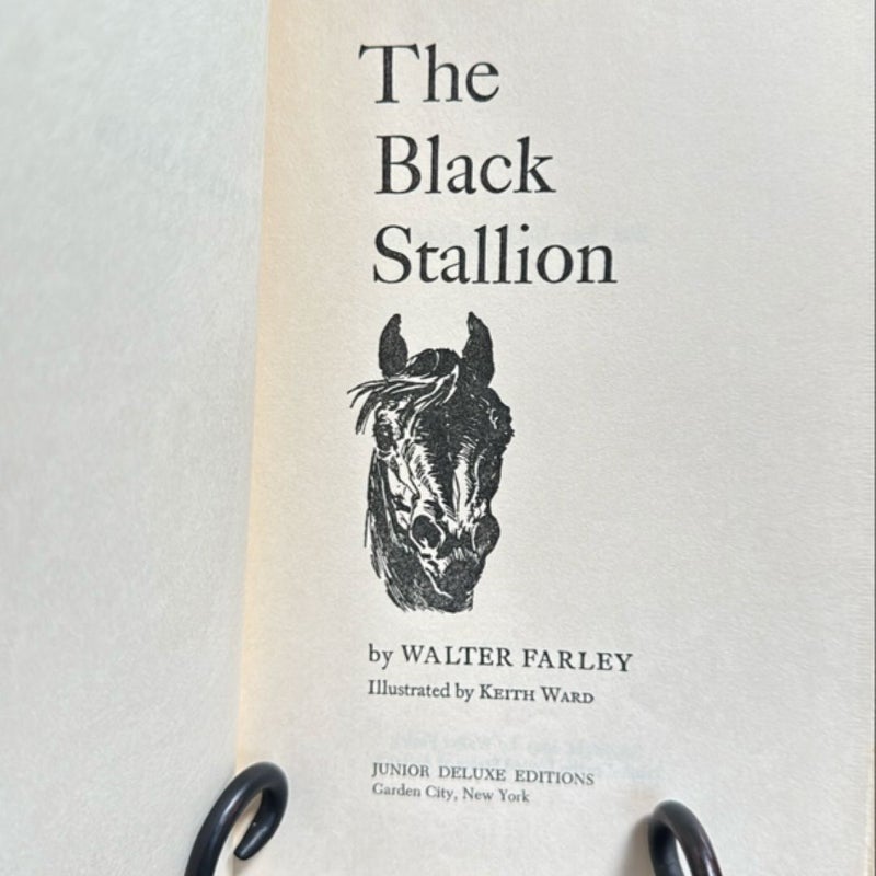 The Black Stallion