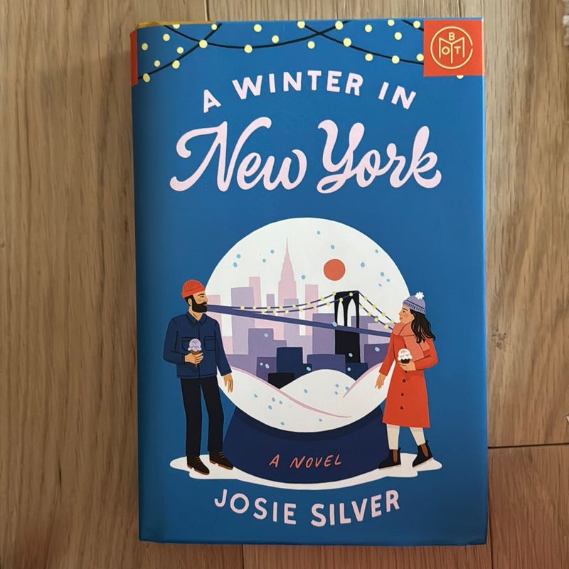 A Winter in New York