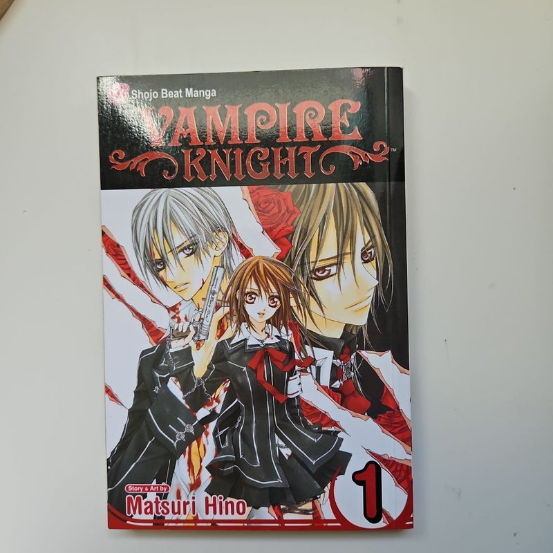 Vampire Knight, Vol. 1