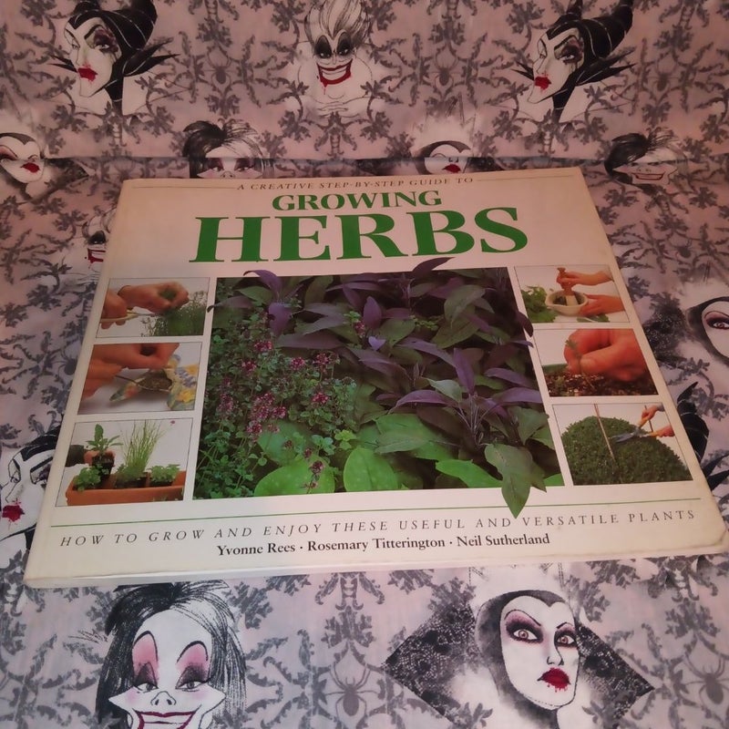 Creative Step by Step Guide to Growing Herbs