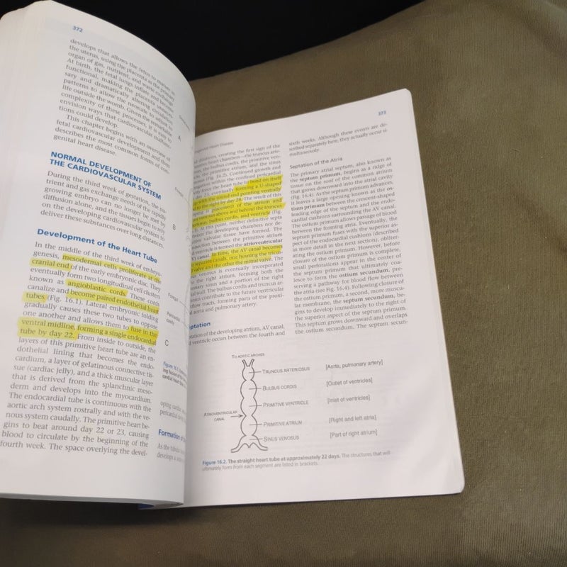 Pathophysiology of Heart Disease 4e