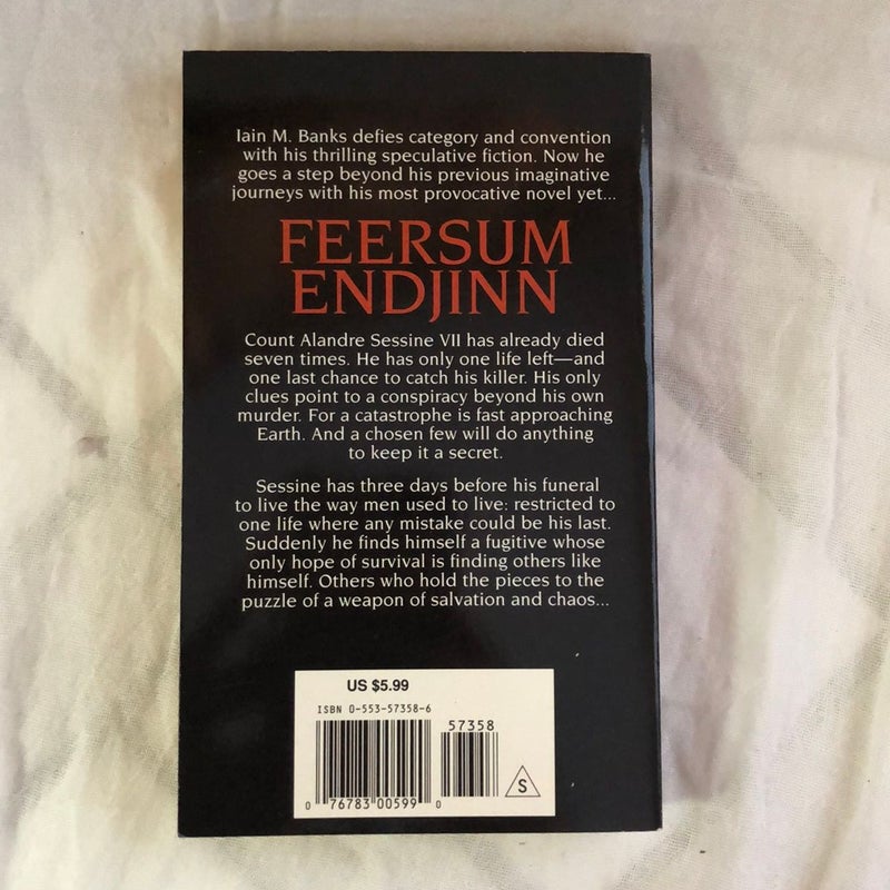 Feersum Endjinn