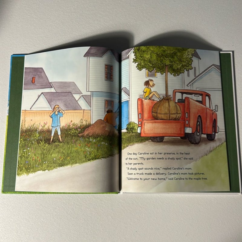 On Meadowview Street