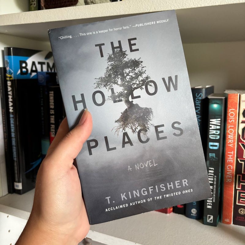 The Hollow Places