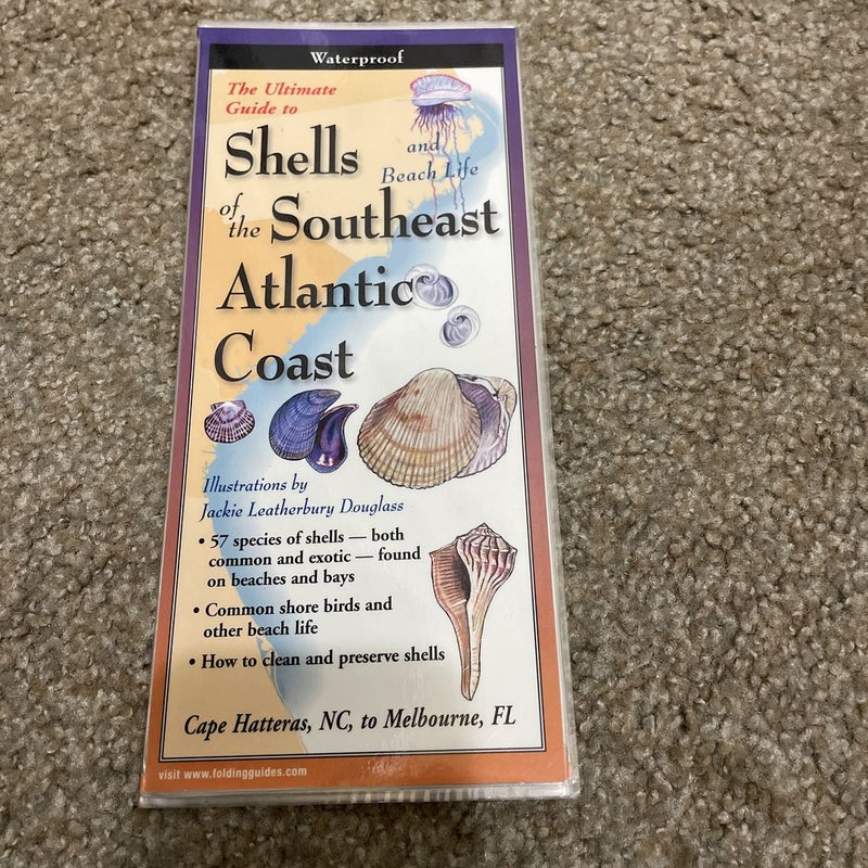Shells