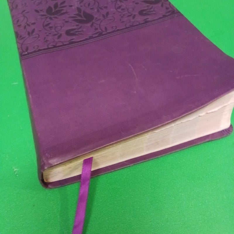 NIV Rainbow Study Bible, Purple LeatherTouch Indexed