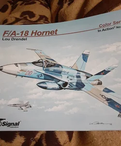 F/A -18 Hornet 
