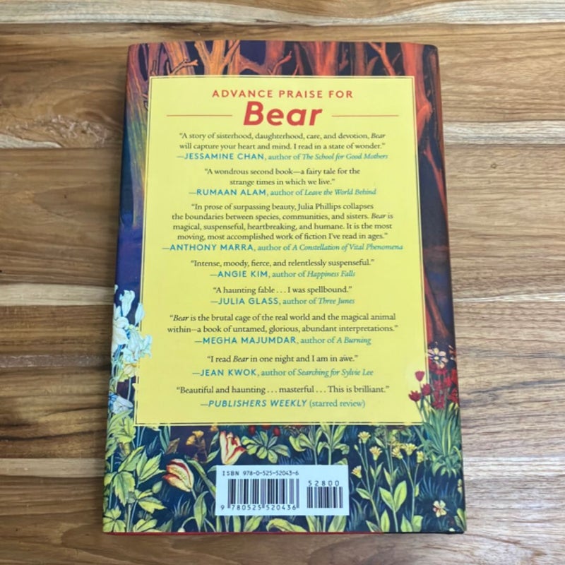 Bear
