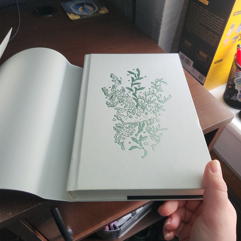 The Wicked King (Barnes & Noble Exclusive Edition)