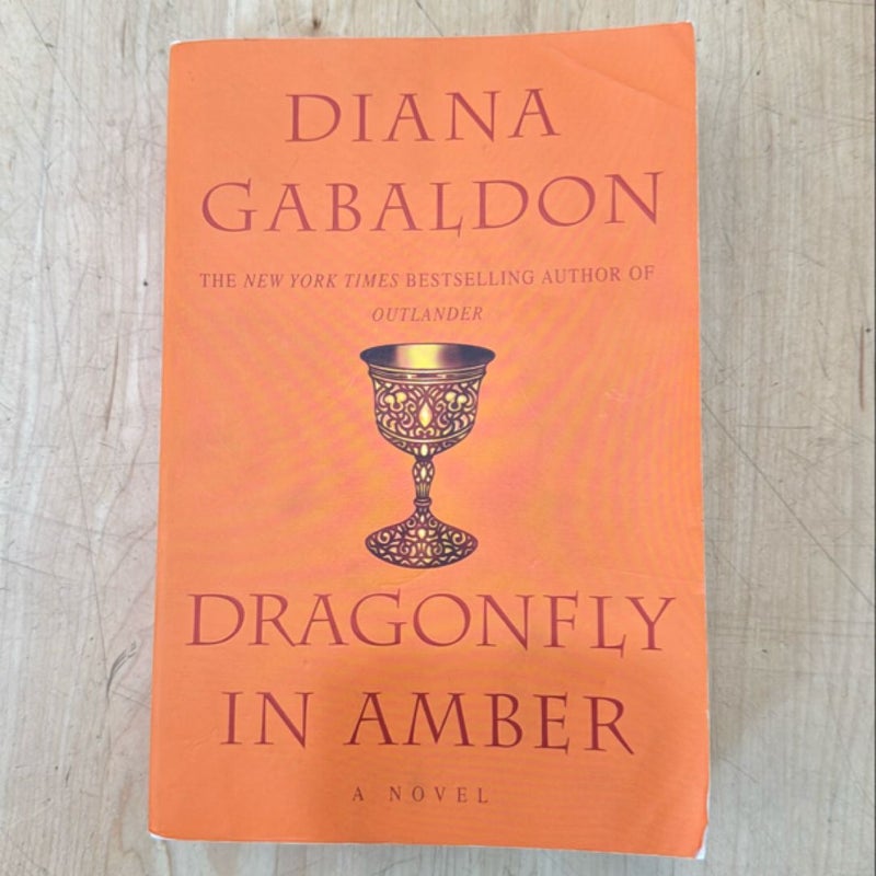 Dragonfly in Amber