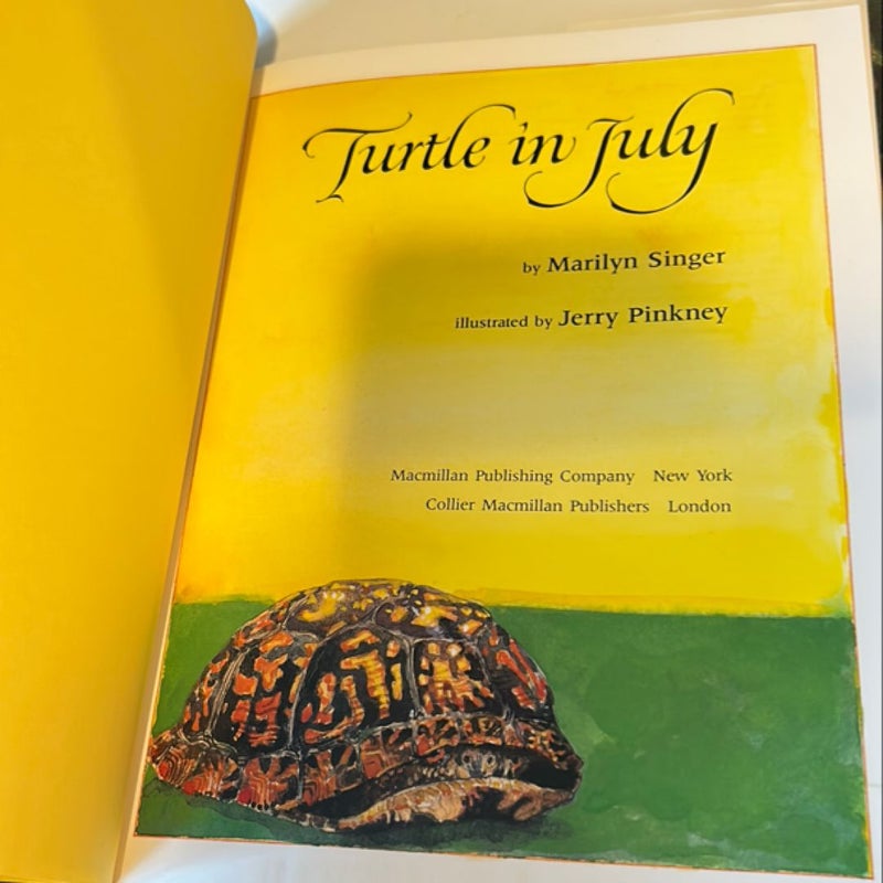 Turtle in July