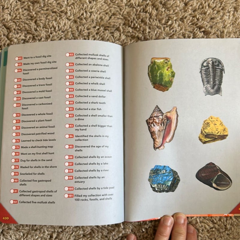 Outdoor School: Rock, Fossil, and Shell Hunting
