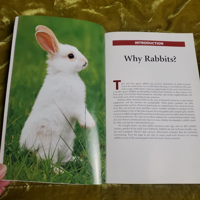 Hobby Farms: Rabbits