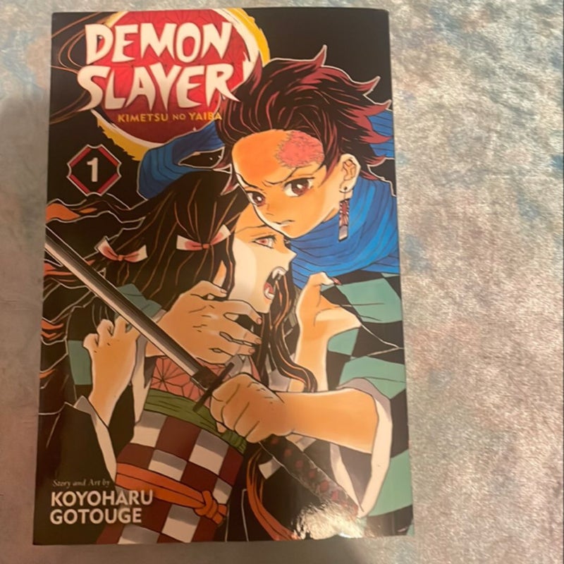 Demon Slayer: Kimetsu No Yaiba, Vol. 1