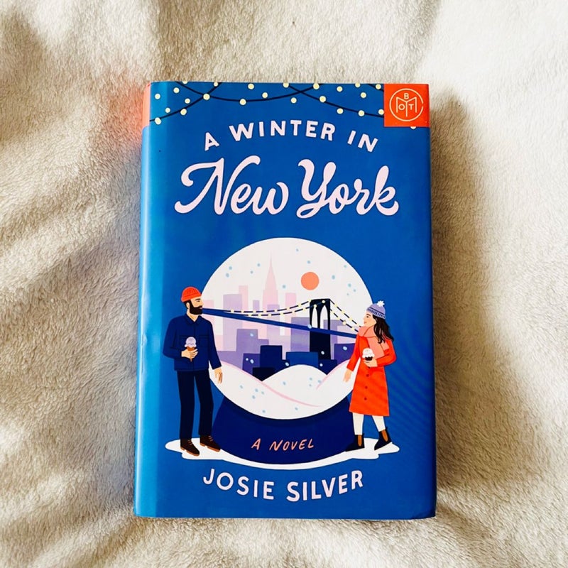 A Winter in New York