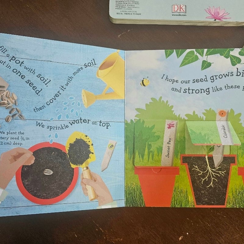 Growing Lift Flap Board Books by DK Set of 3