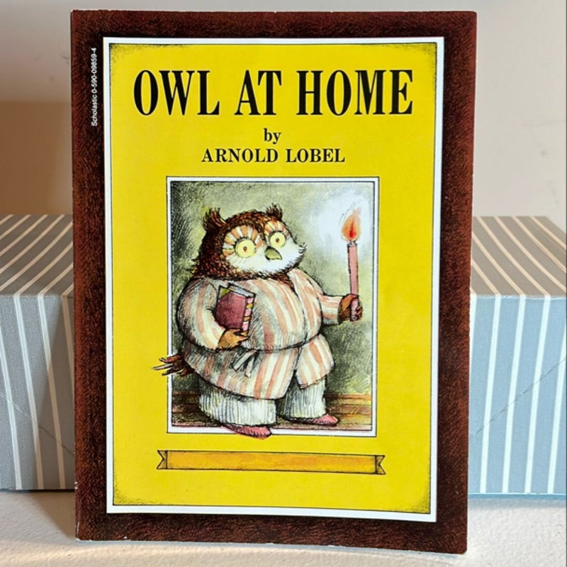 Owl at Home