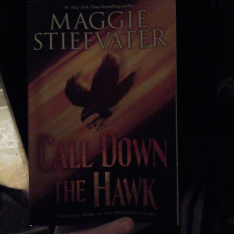 Call down the Hawk (the Dreamer Trilogy, Book 1)