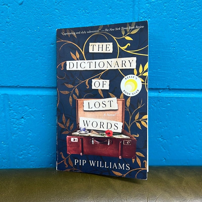 The Dictionary of Lost Words