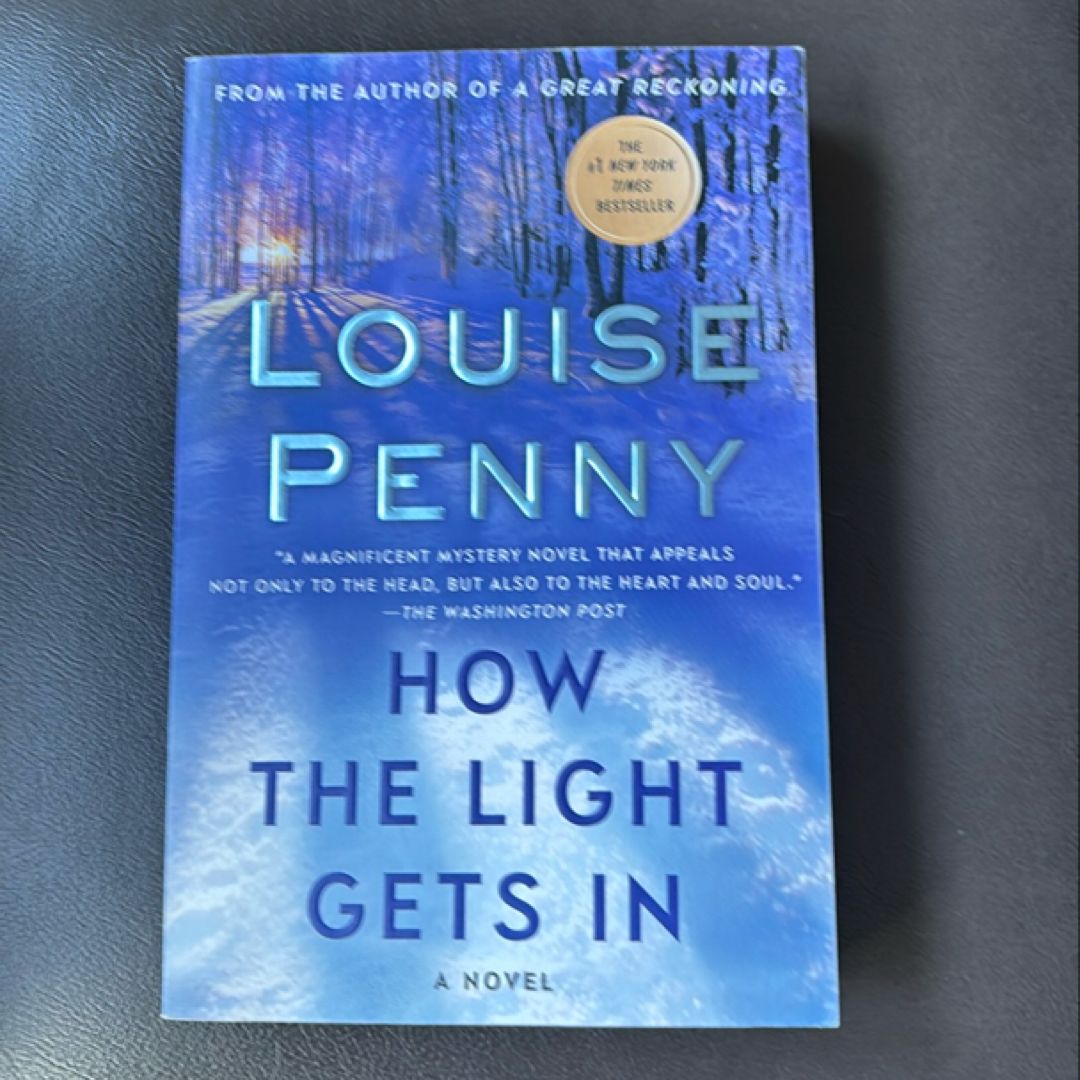 How the Light Gets In