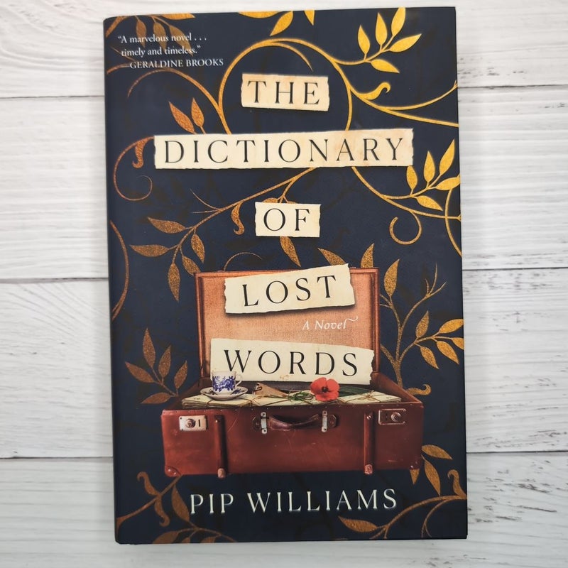 The Dictionary of Lost Words