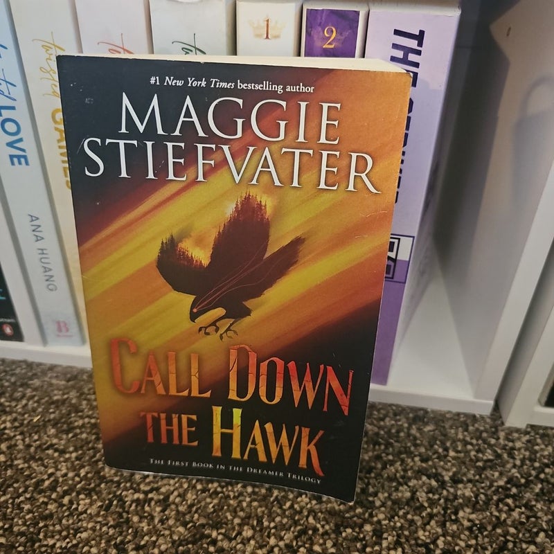 Call down the Hawk (the Dreamer Trilogy, Book 1)