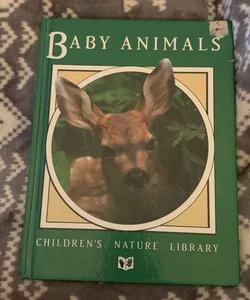 Baby Animals