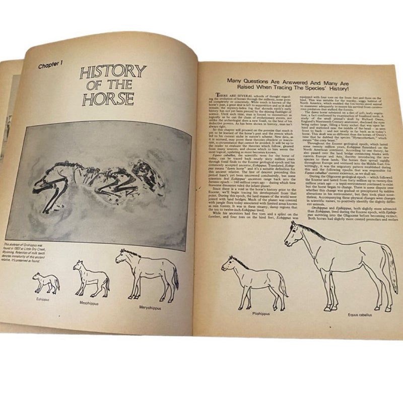 Western Horse and Horseman's Digest