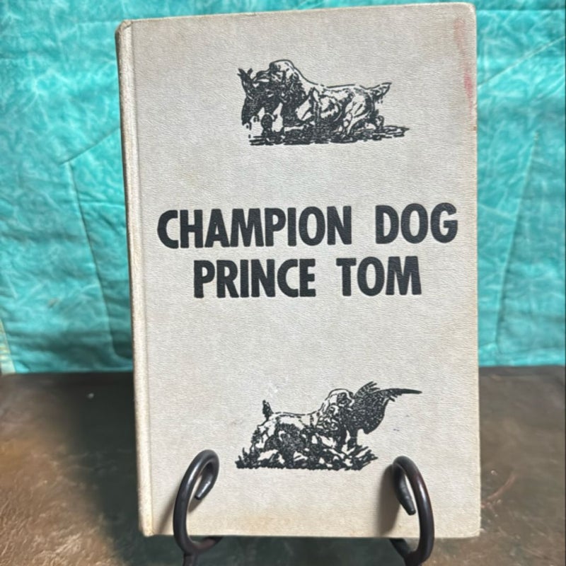 Champion Dog Prince Tom