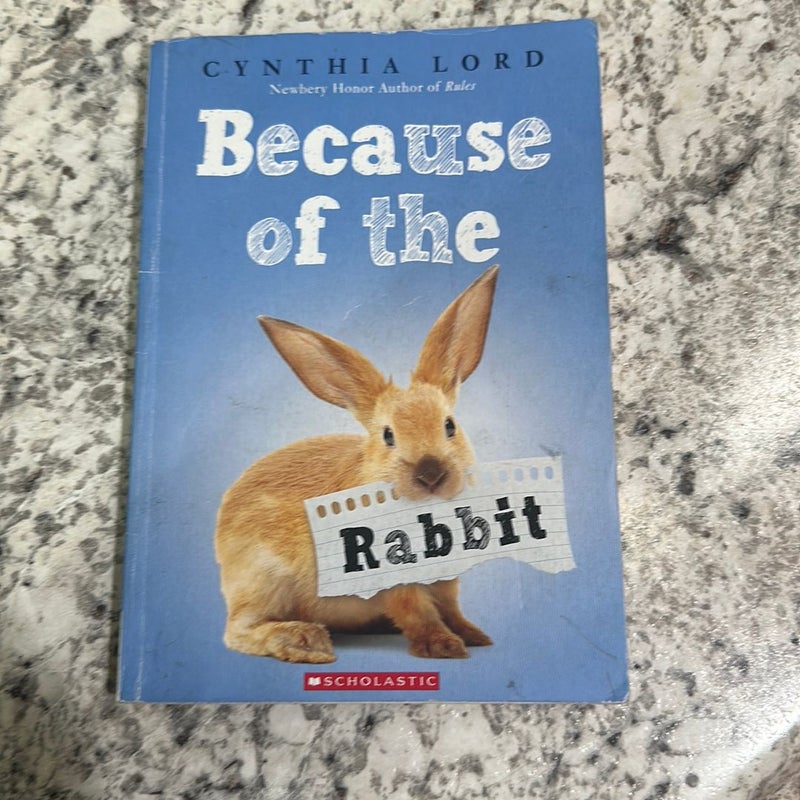 Because of the Rabbit