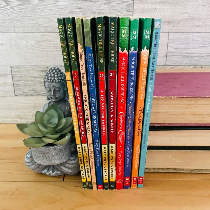 Magic Tree House Bundle-Lot of 10