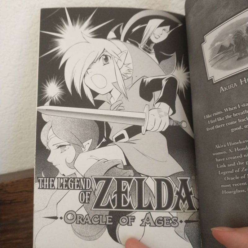 The Legend of Zelda, Vol. 5