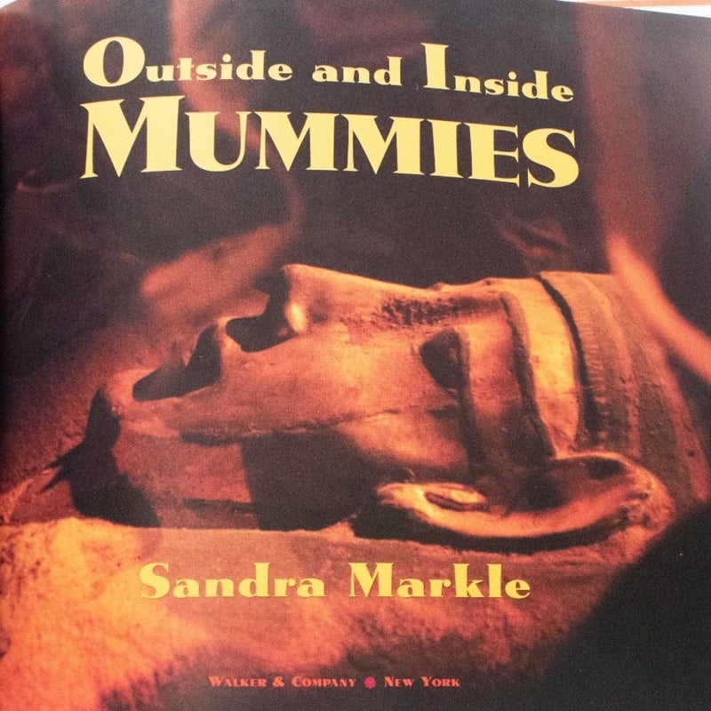 Outside and Inside Mummies