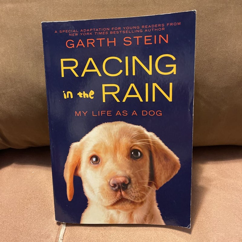 Racing In The Rain - My Life As A Dog