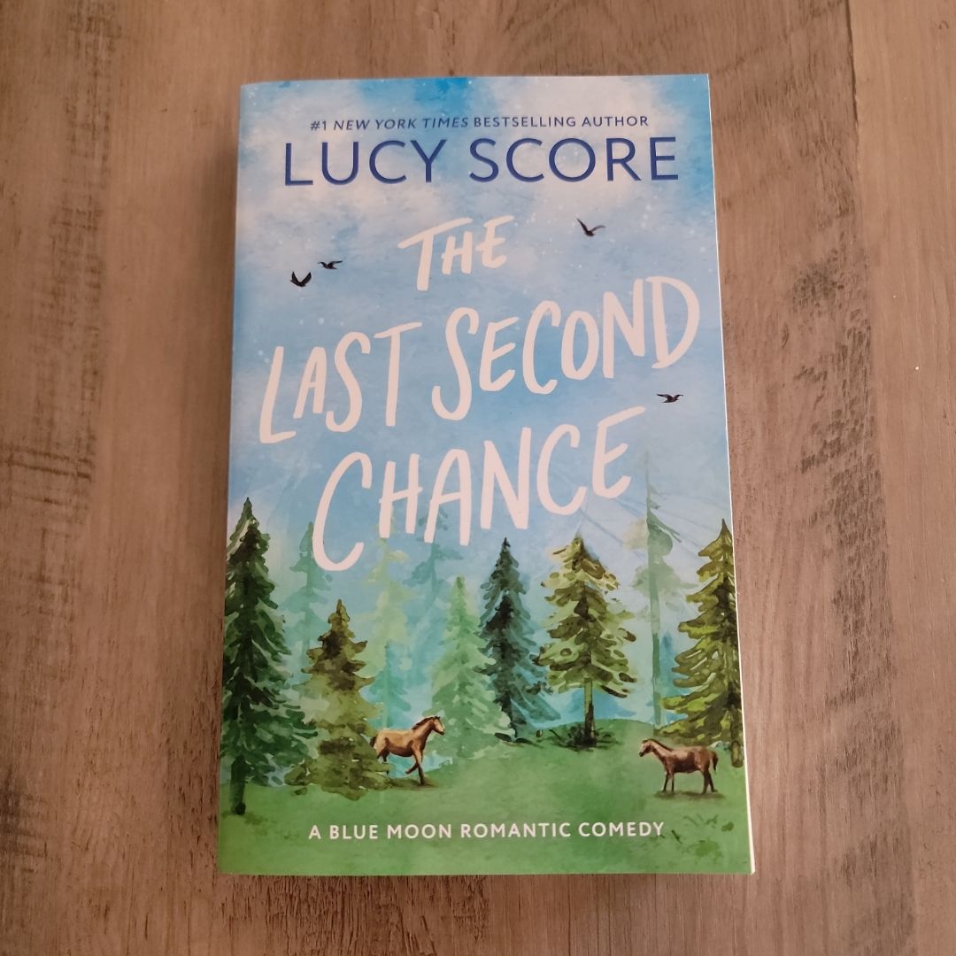 The Last Second Chance