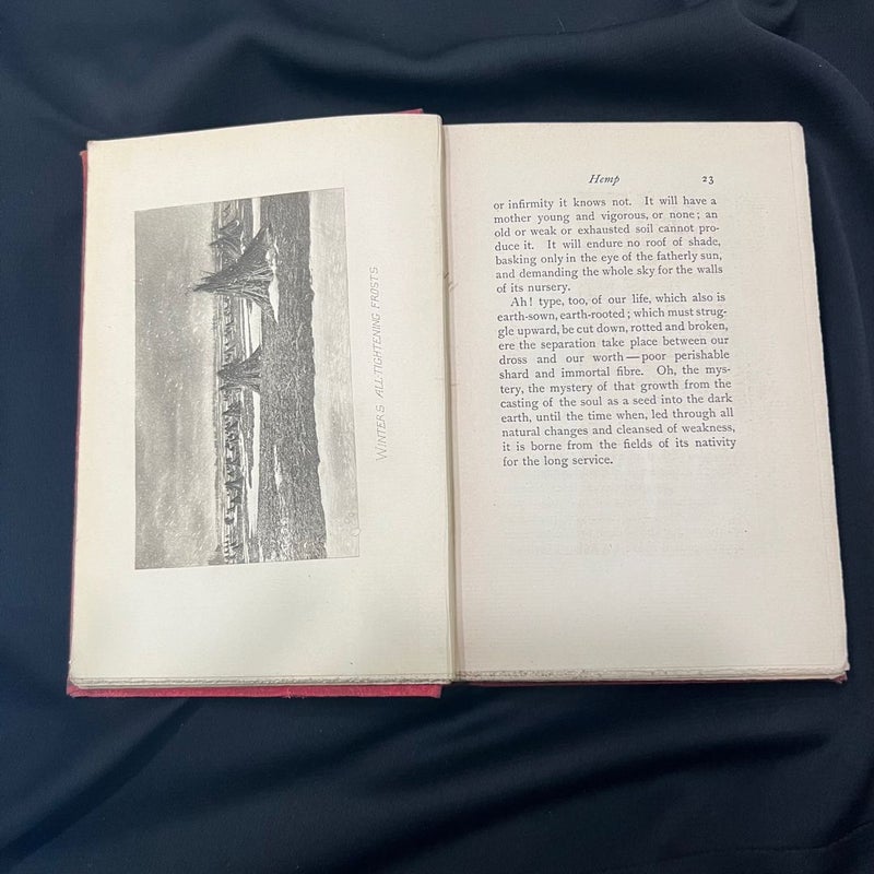 The Reign of Law (Antique 1900)