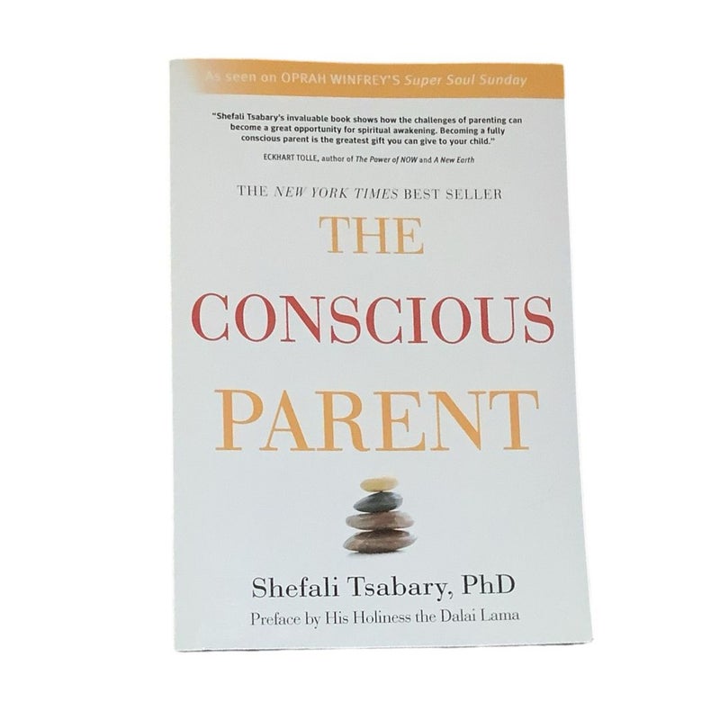 The Conscious Parent