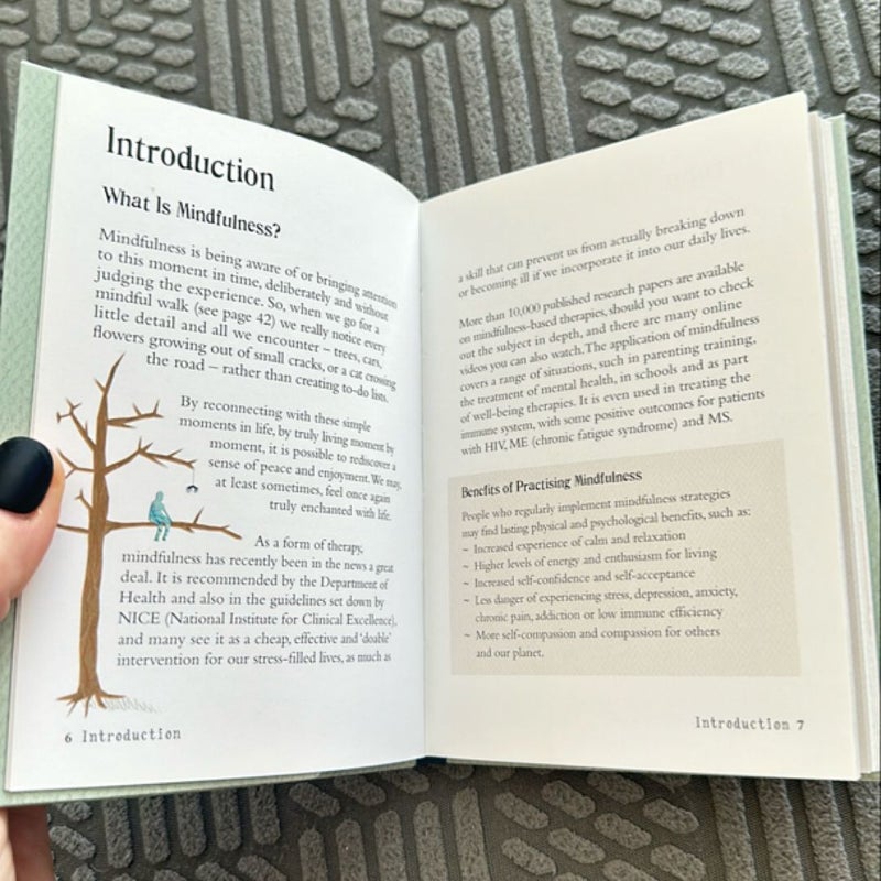 Little Book of Mindfulness