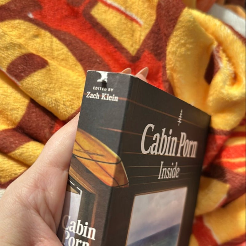 Cabin Porn: Inside