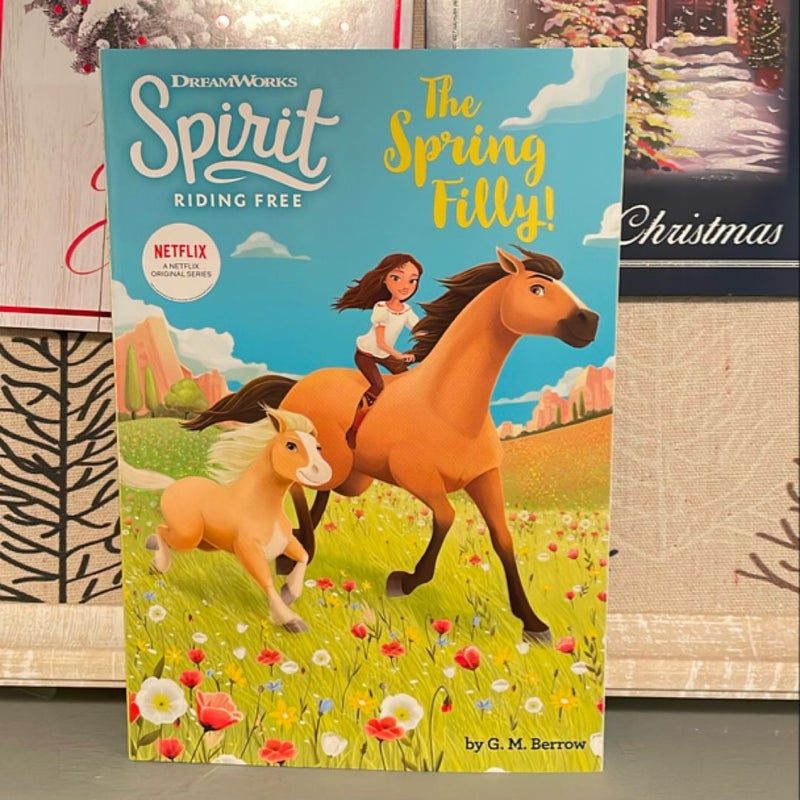 Spirit Riding Free: the Spring Filly!