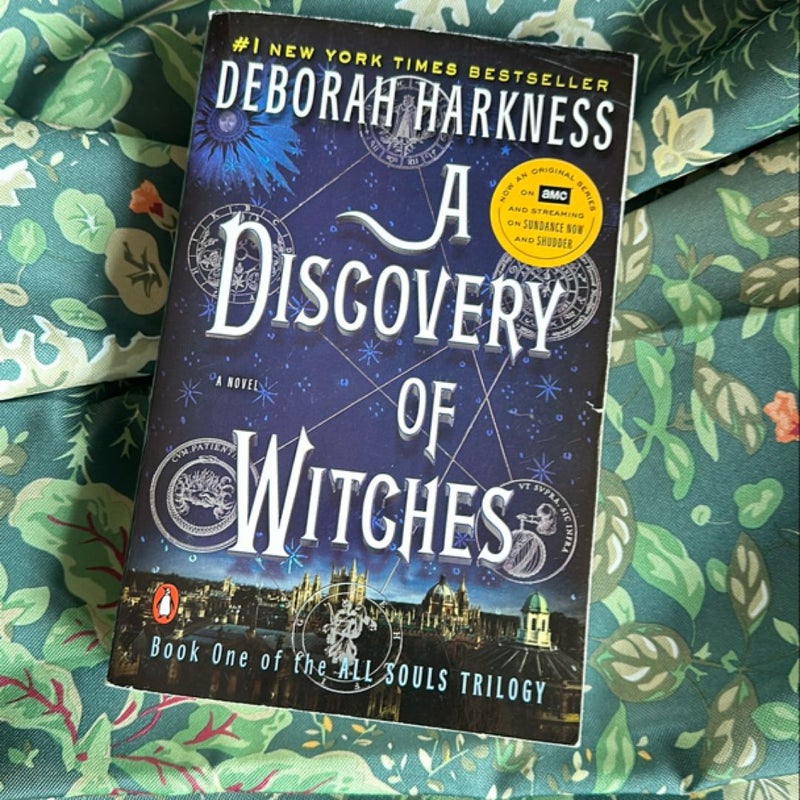 A Discovery of Witches