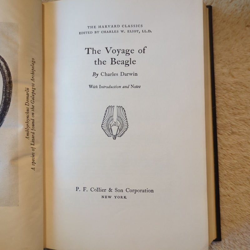 The Voyage of the Beagle