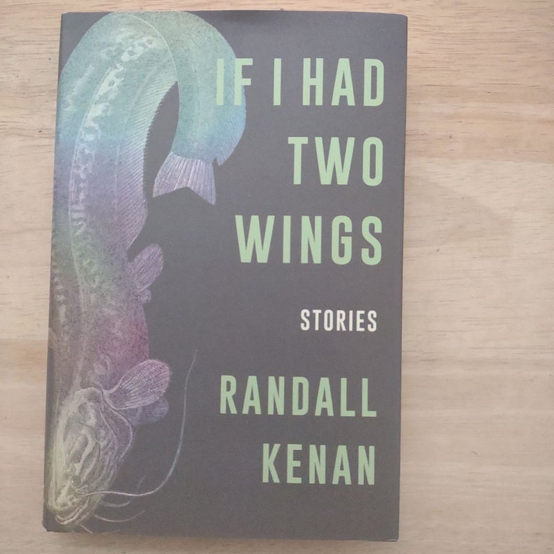 If I Had Two Wings