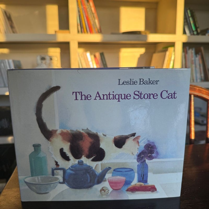 The Antiquw Store Cat