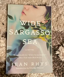 Wide Sargasso Sea