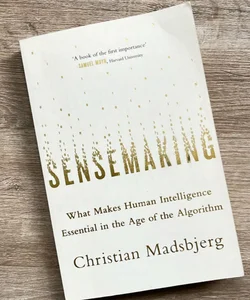 Sensemaking